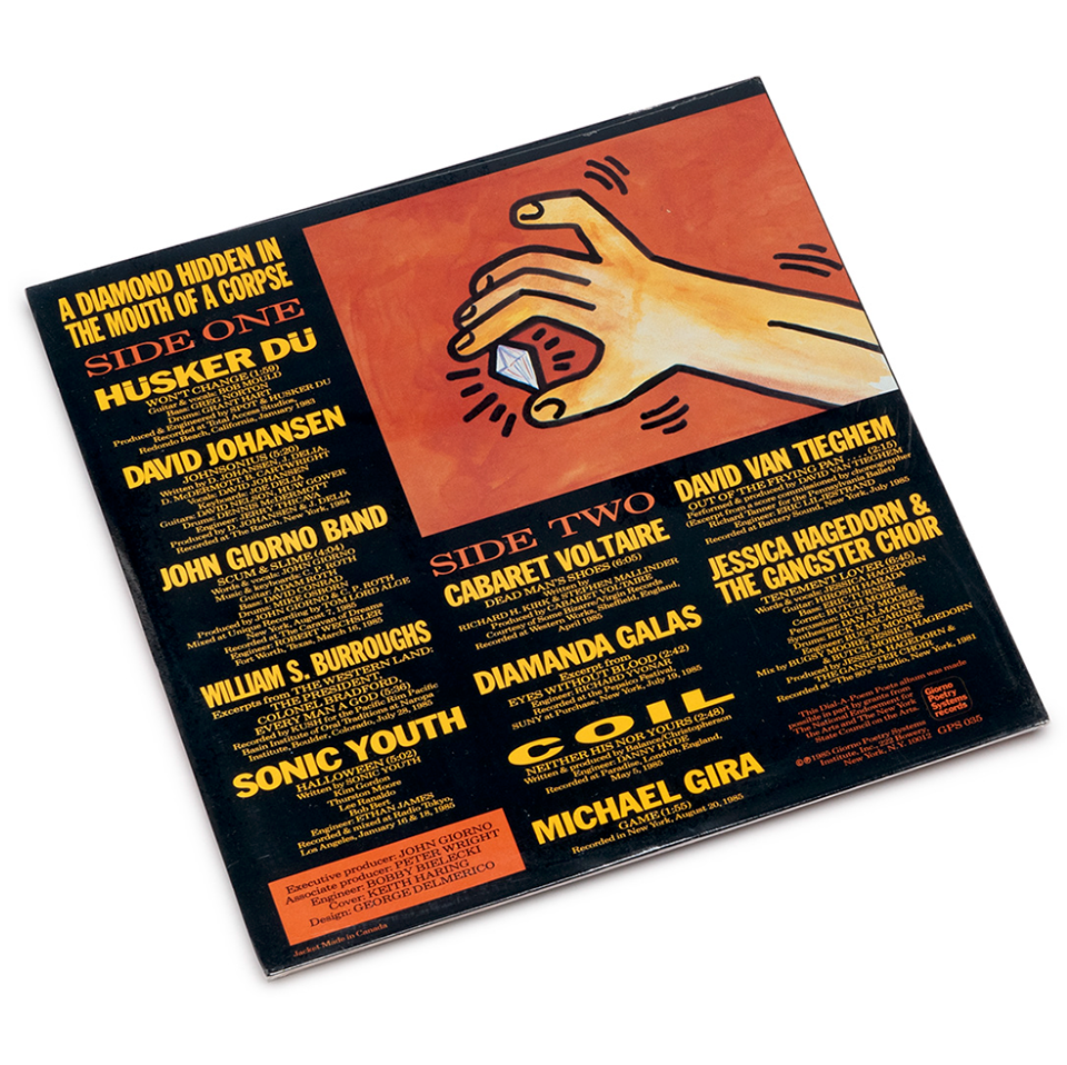 A Diamond Hidden In The Mouth Of A Corpse - Vinyl